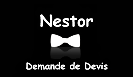 Logo David Michel et Nestor Demande de devis