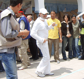 Toujours le pingouin